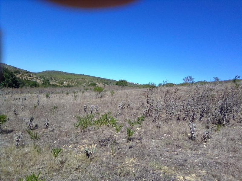 0 Bedroom Property for Sale in Stilbaai Rural Western Cape